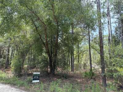 Residential Land For Sale in Williston, Florida