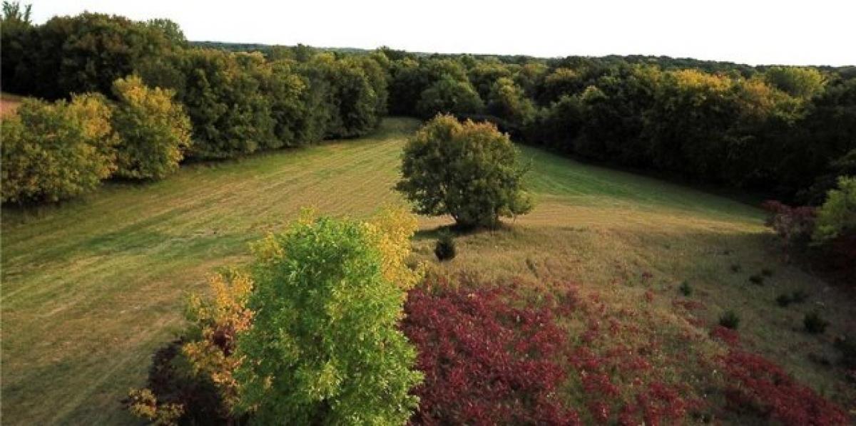 Picture of Residential Land For Sale in Kimball, Minnesota, United States