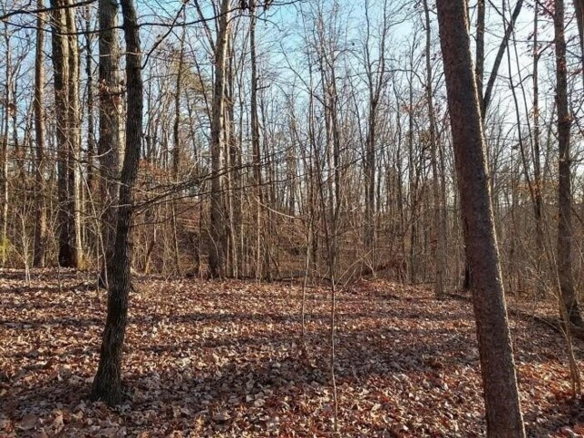 Picture of Residential Land For Sale in Pickens, South Carolina, United States