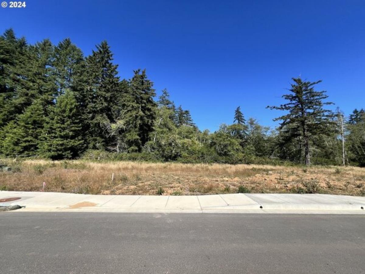 Picture of Residential Land For Sale in Brookings, Oregon, United States