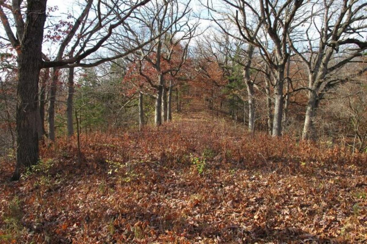 Picture of Residential Land For Sale in Huxley, Iowa, United States