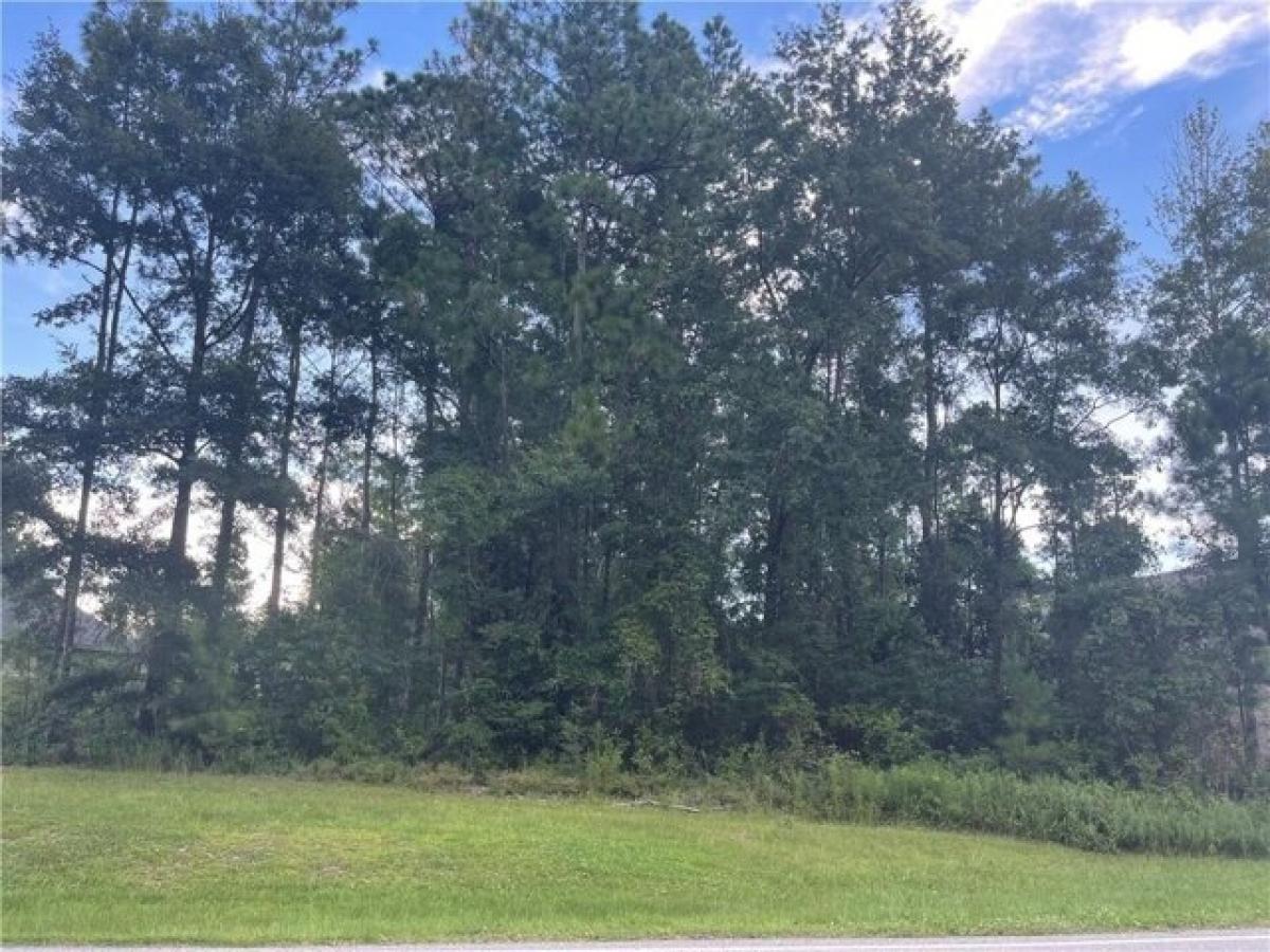 Picture of Residential Land For Sale in Theodore, Alabama, United States