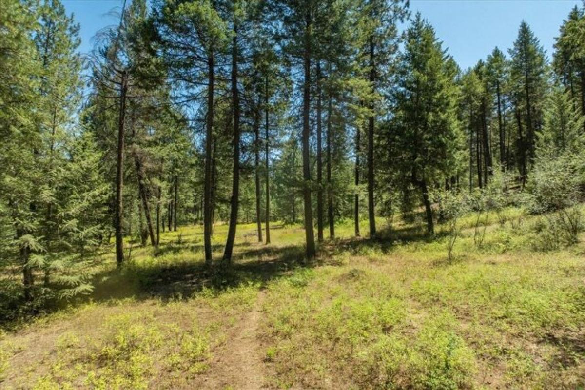 Picture of Residential Land For Sale in Nine Mile Falls, Washington, United States