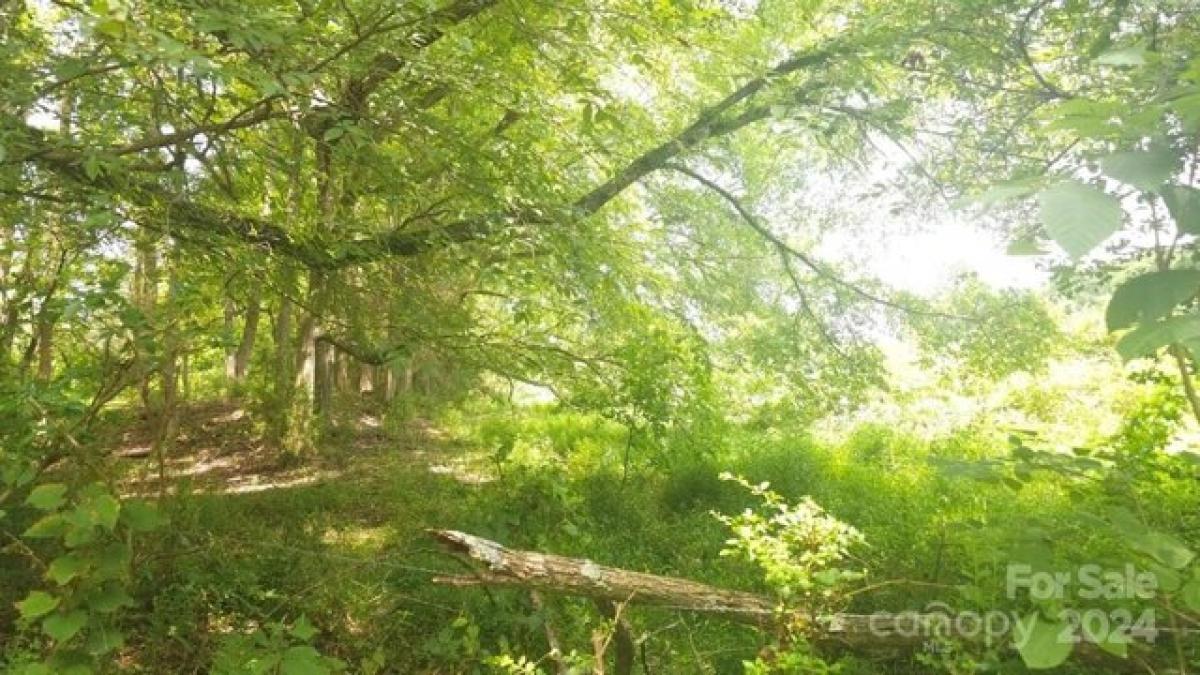 Picture of Residential Land For Sale in Peachland, North Carolina, United States