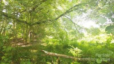 Residential Land For Sale in Peachland, North Carolina