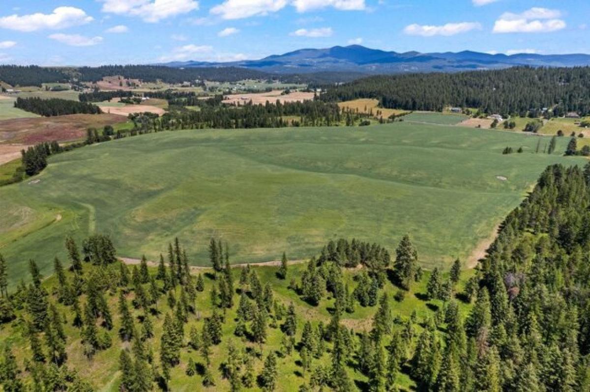 Picture of Residential Land For Sale in Colbert, Washington, United States