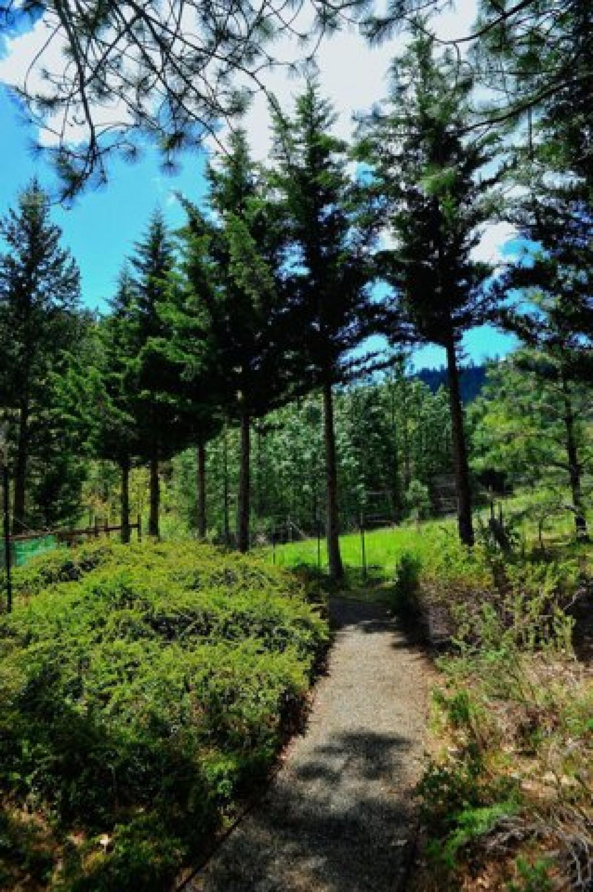 Picture of Home For Sale in Applegate, Oregon, United States