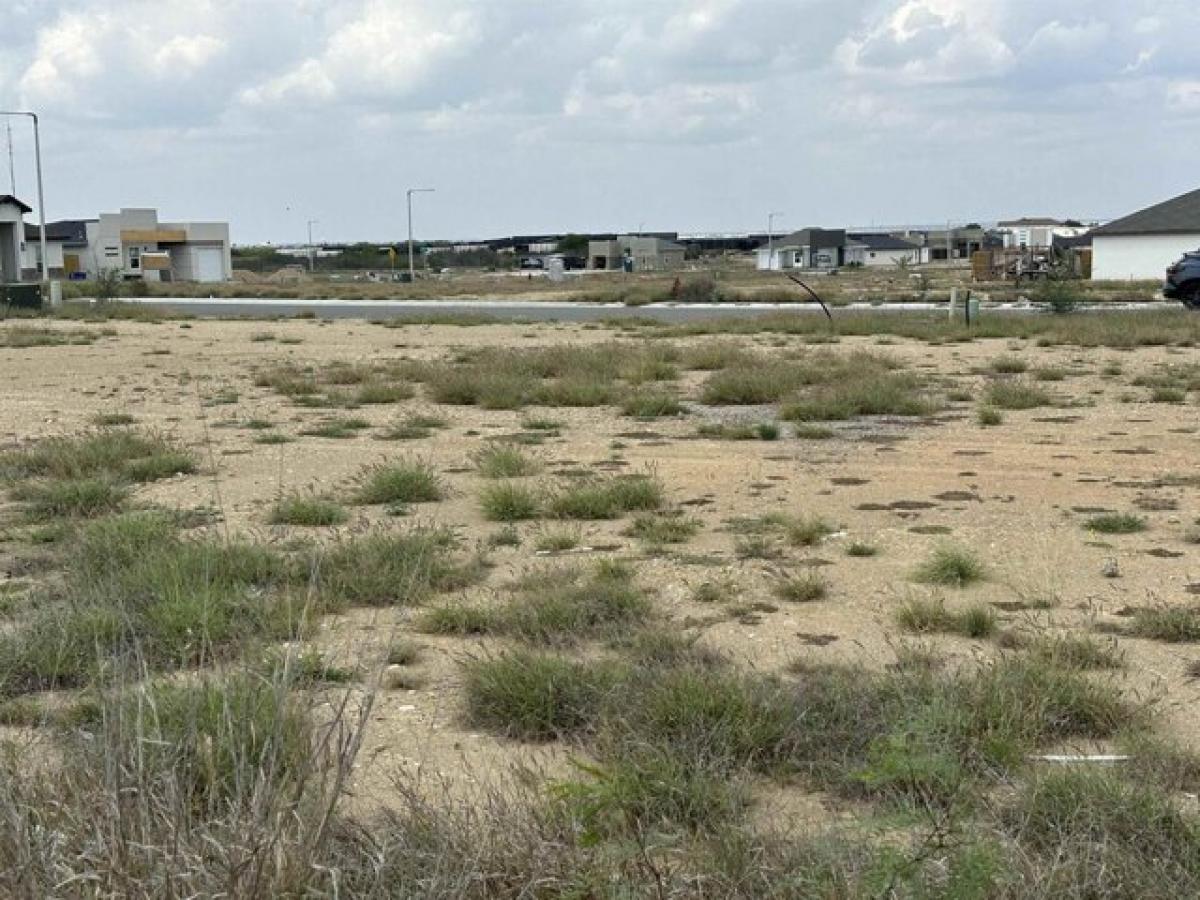 Picture of Residential Land For Sale in Laredo, Texas, United States