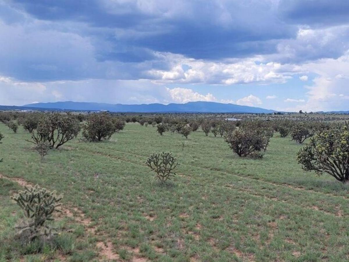 Picture of Residential Land For Sale in Edgewood, New Mexico, United States