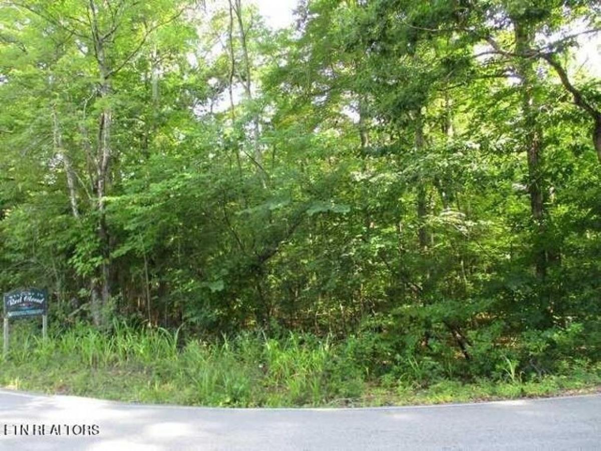 Picture of Residential Land For Sale in Ten Mile, Tennessee, United States