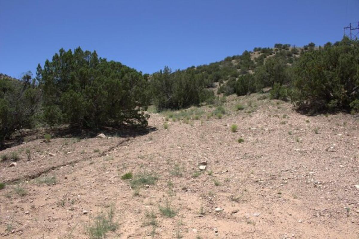 Picture of Residential Land For Sale in Placitas, New Mexico, United States