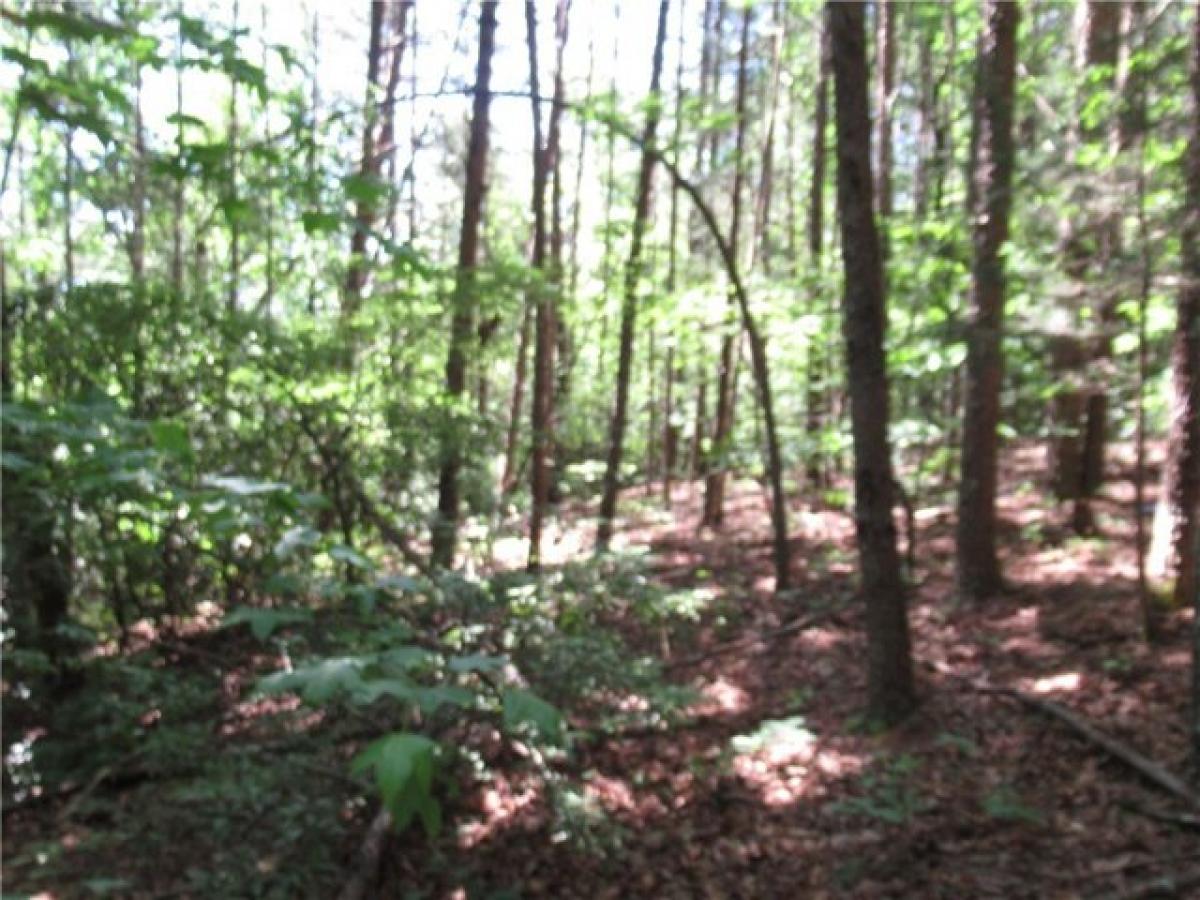 Picture of Residential Land For Sale in Cleveland, South Carolina, United States