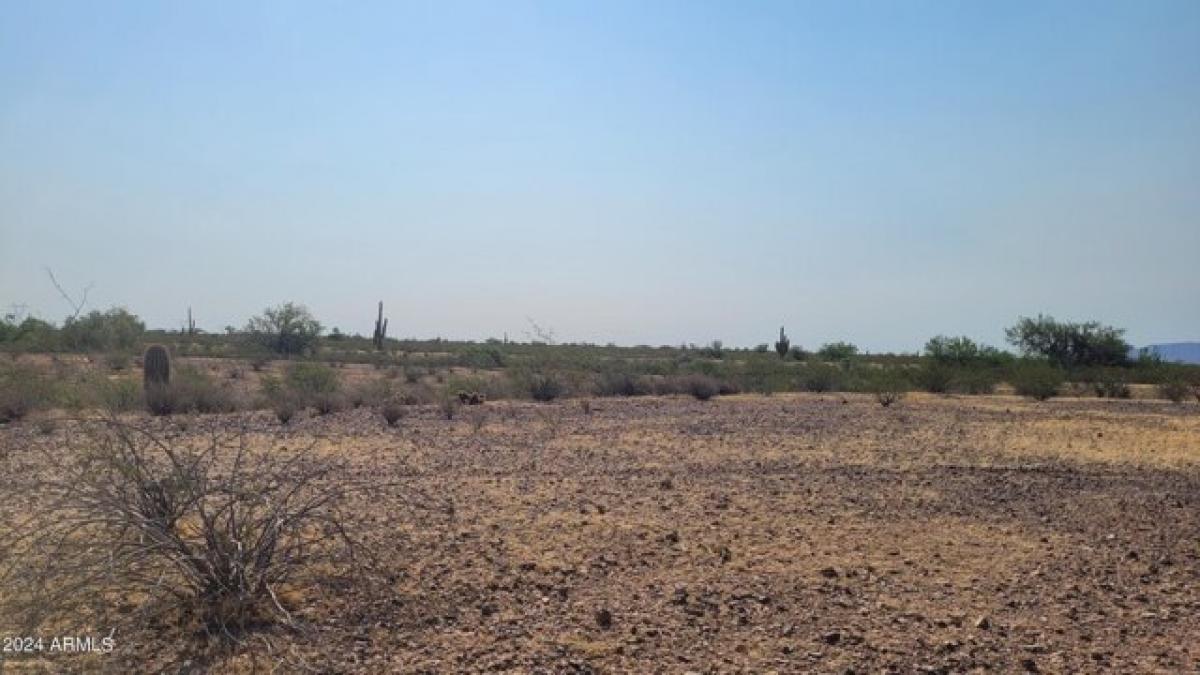 Picture of Residential Land For Sale in Wittmann, Arizona, United States