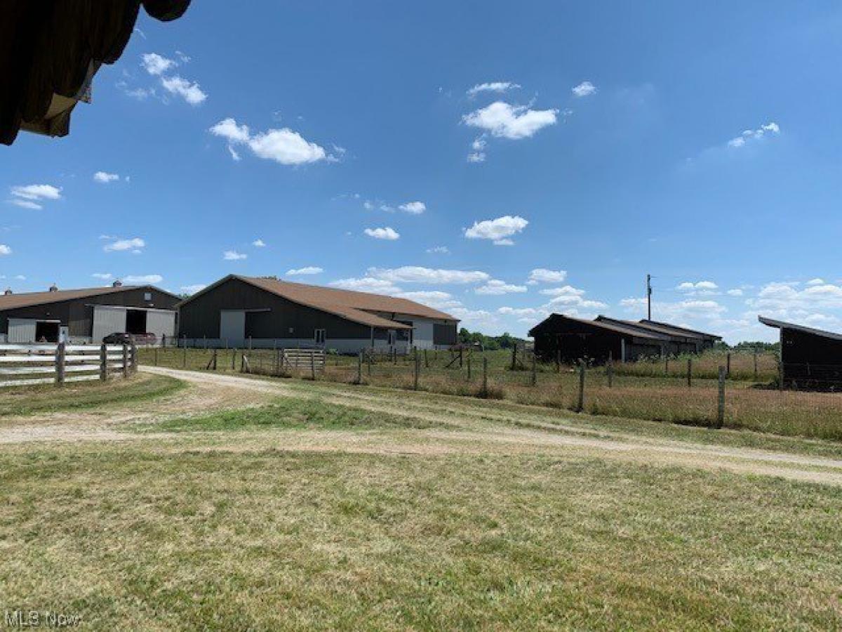 Picture of Residential Land For Sale in Litchfield, Ohio, United States