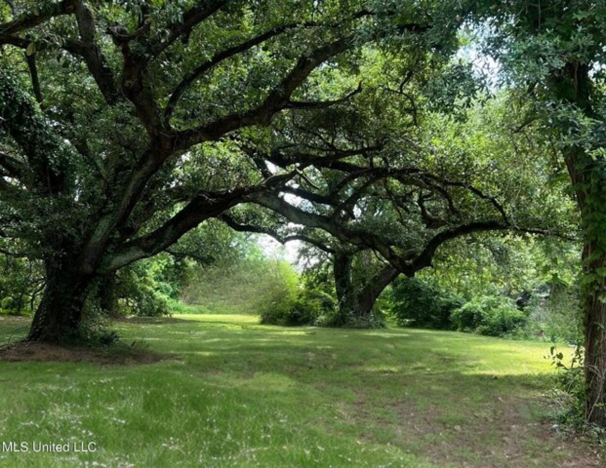 Picture of Residential Land For Sale in Gulfport, Mississippi, United States