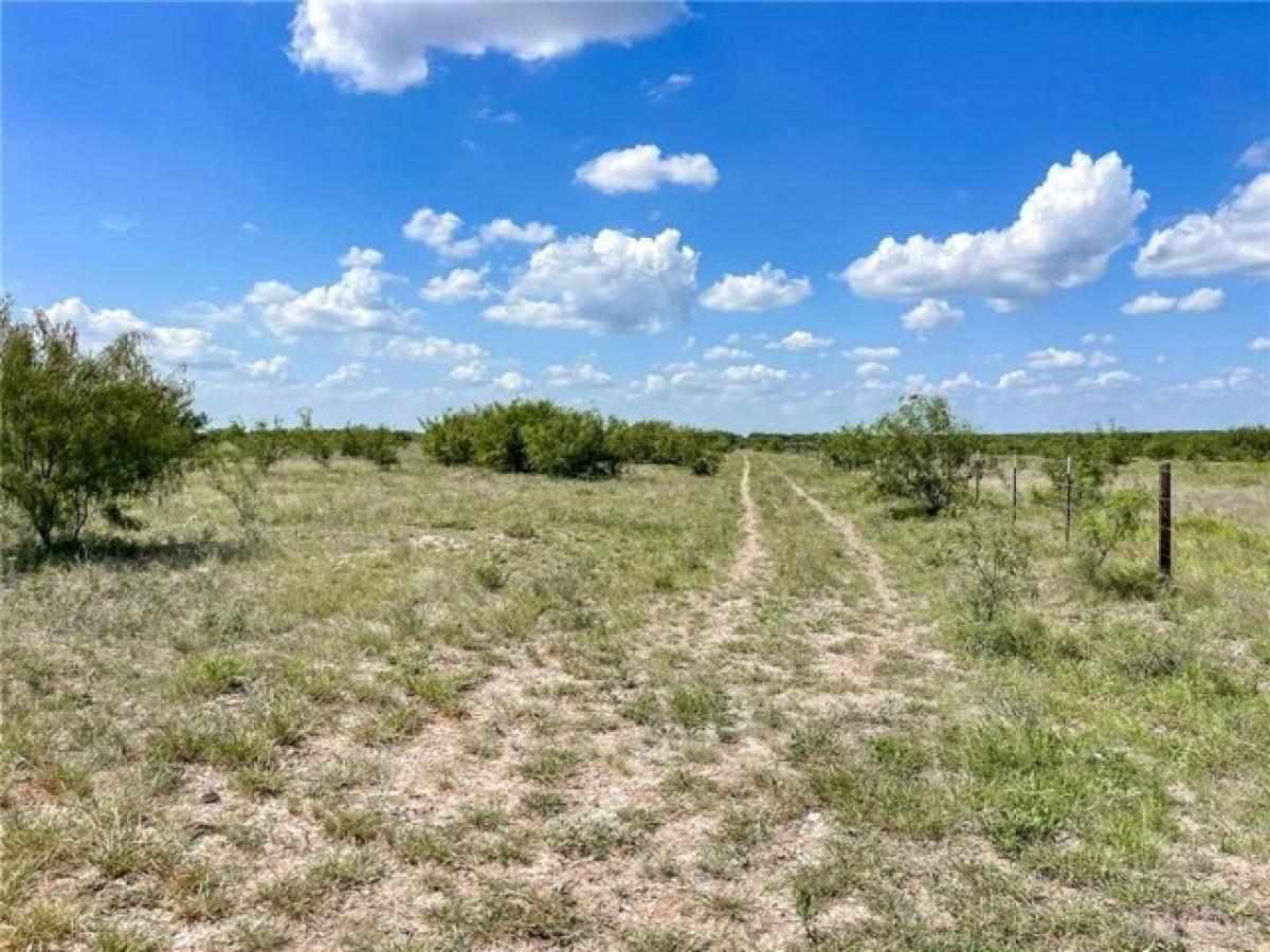 Picture of Residential Land For Sale in Rio Grande City, Texas, United States