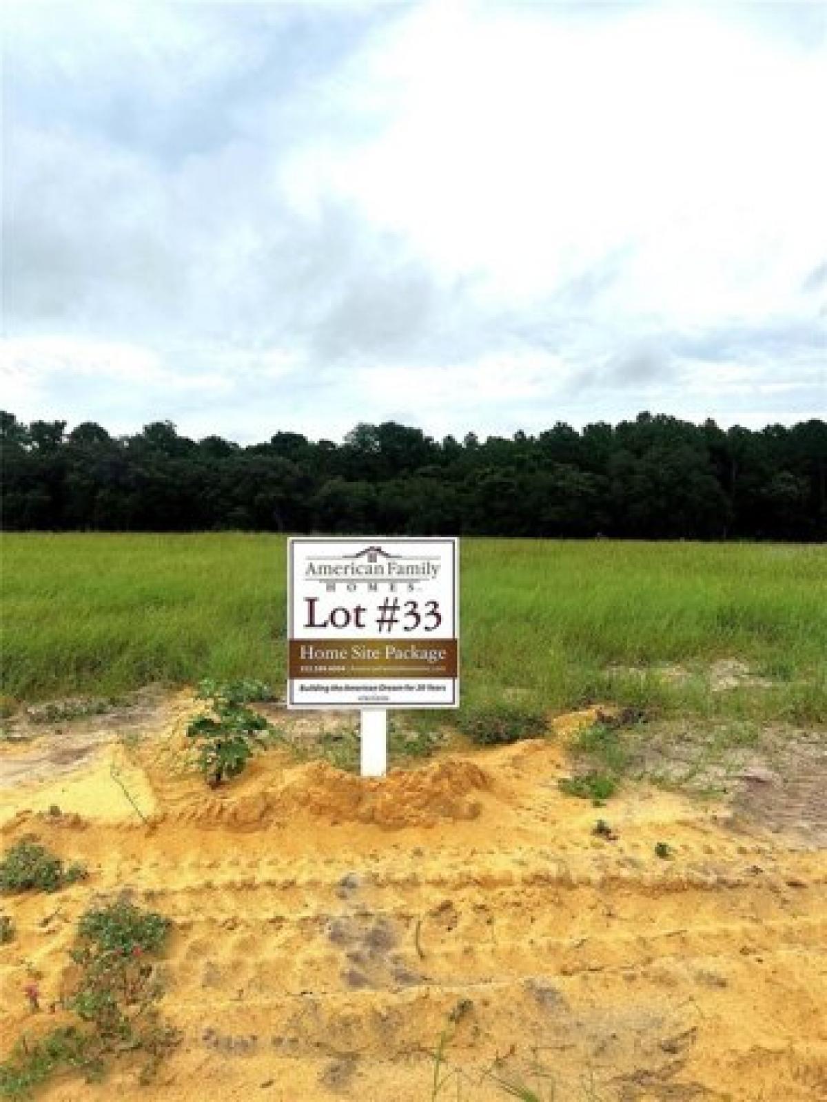 Picture of Residential Land For Sale in Umatilla, Florida, United States