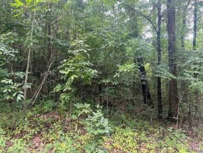 Residential Land For Sale in Brookwood, Alabama