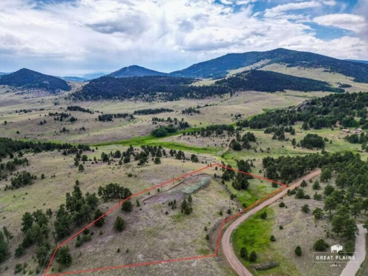 Picture of Residential Land For Sale in Guffey, Colorado, United States