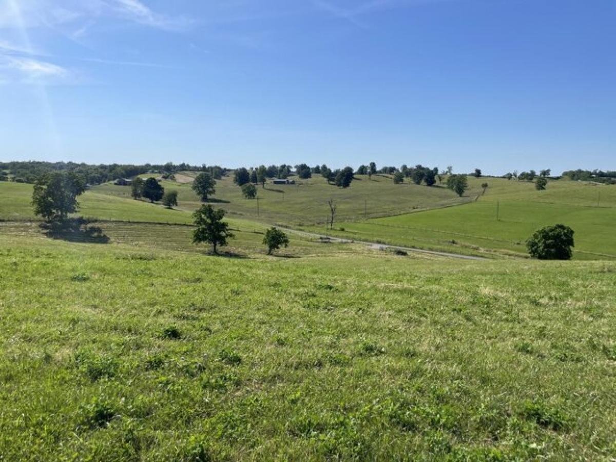 Picture of Residential Land For Sale in Cynthiana, Kentucky, United States