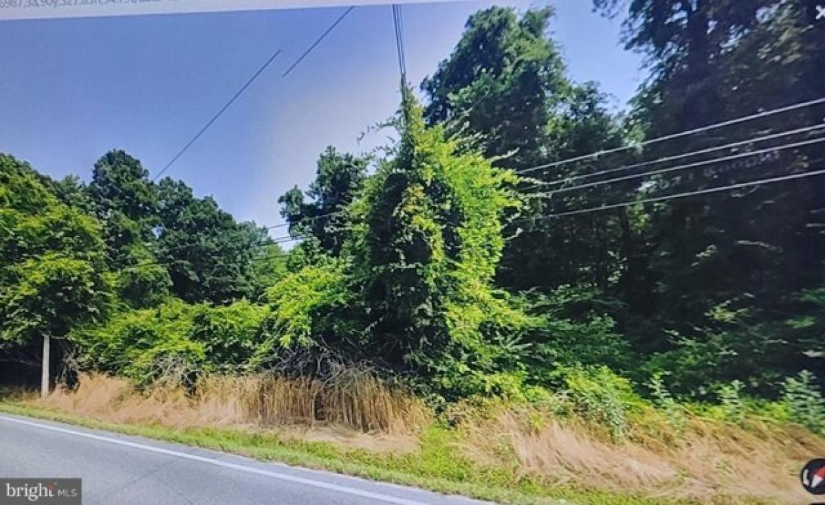 Picture of Residential Land For Sale in Marion Station, Maryland, United States