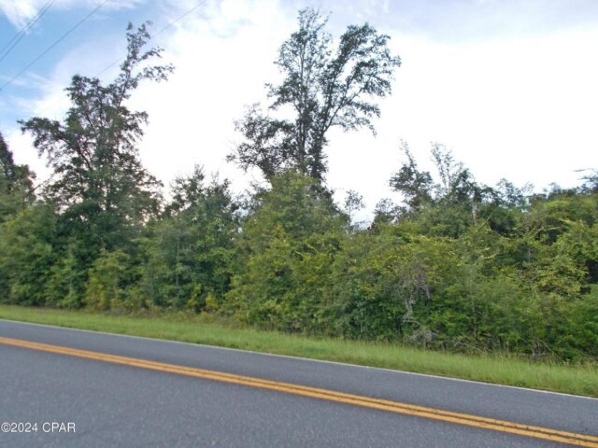 Picture of Residential Land For Sale in Alford, Florida, United States