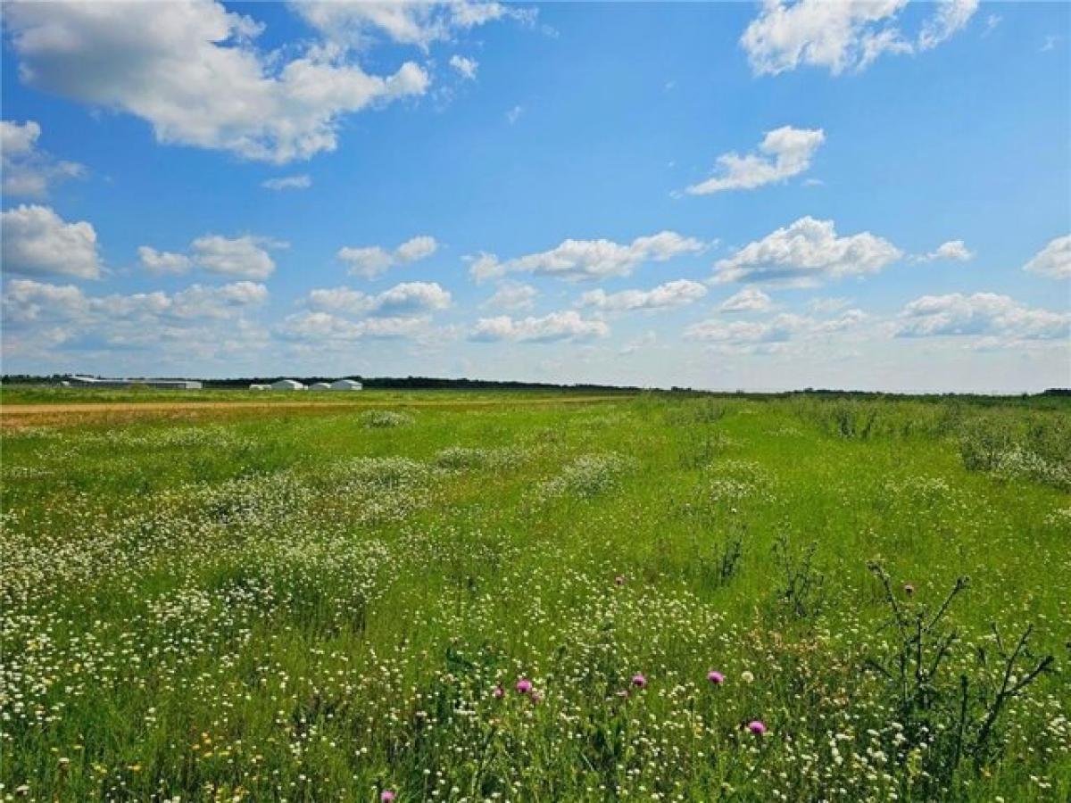 Picture of Residential Land For Sale in Wadena, Minnesota, United States