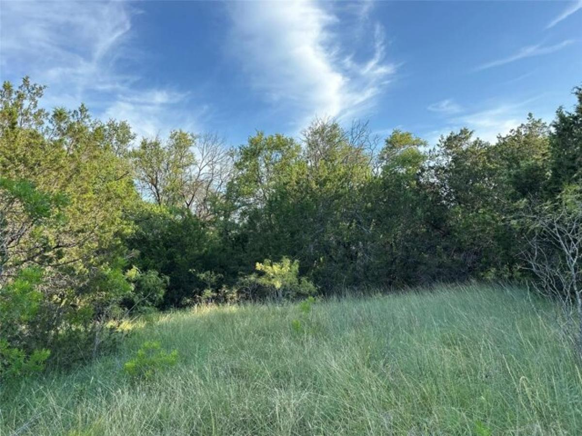 Picture of Residential Land For Sale in Hamilton, Texas, United States