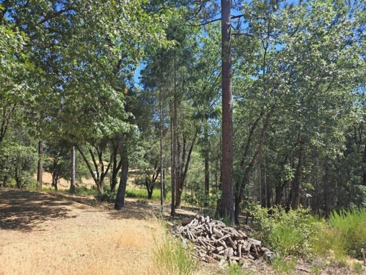 Picture of Residential Land For Sale in Colfax, California, United States