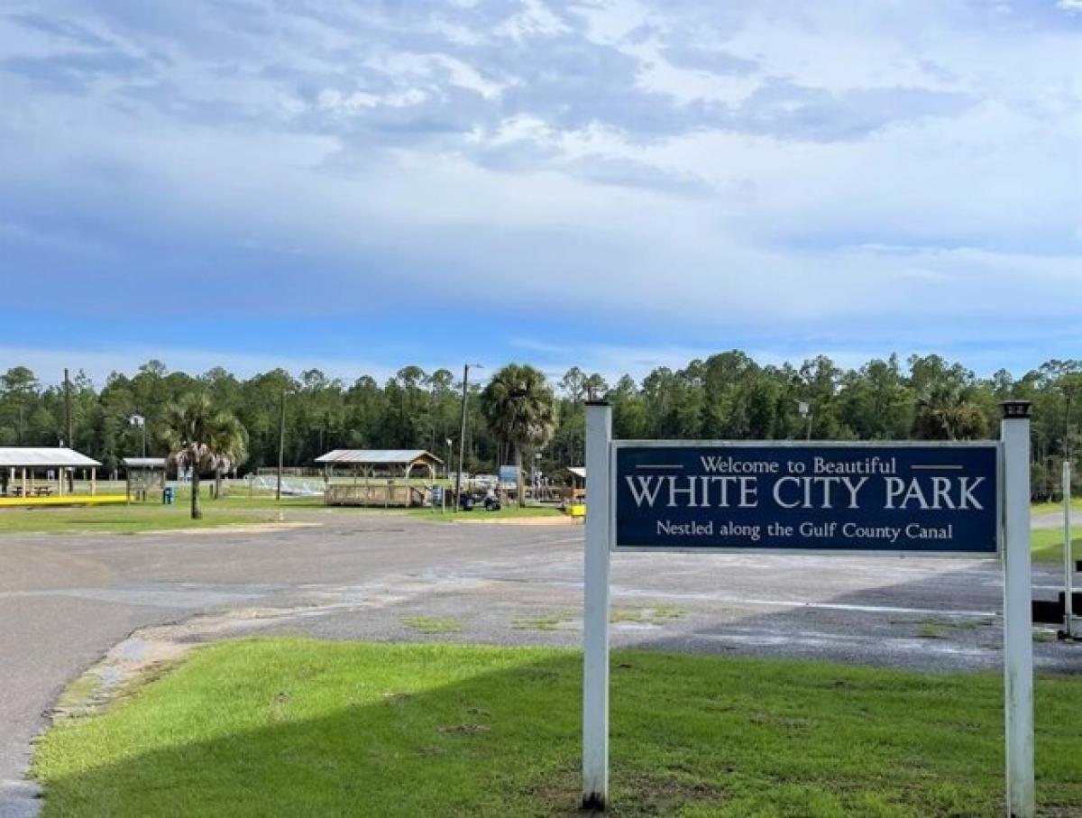 Picture of Residential Land For Sale in Wewahitchka, Florida, United States