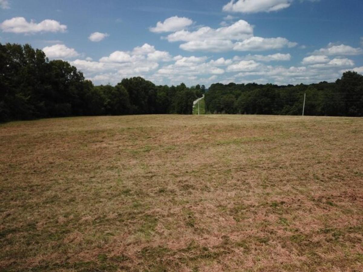 Picture of Residential Land For Sale in Golconda, Illinois, United States