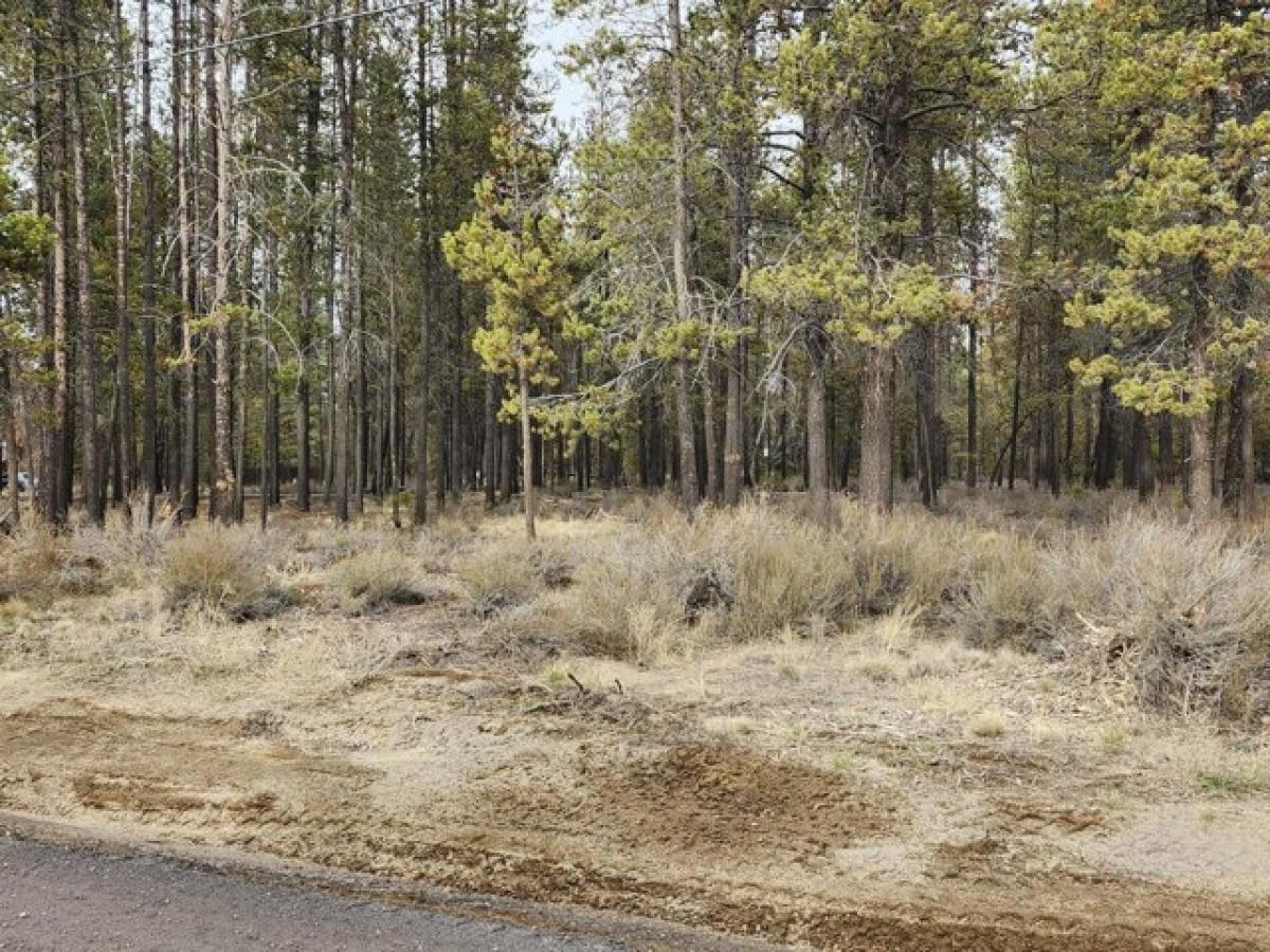 Picture of Residential Land For Sale in La Pine, Oregon, United States