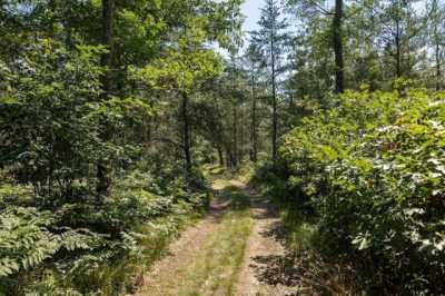 Residential Land For Sale in Baldwin, Michigan