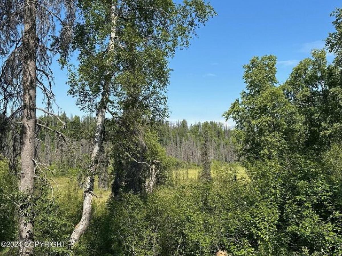 Picture of Residential Land For Sale in Trapper Creek, Alaska, United States