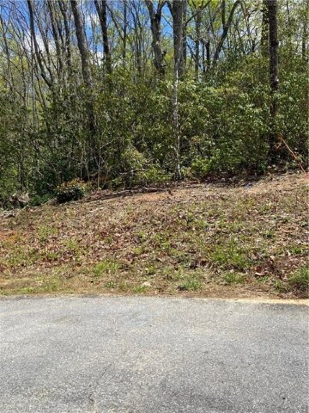 Picture of Residential Land For Sale in Salem, South Carolina, United States