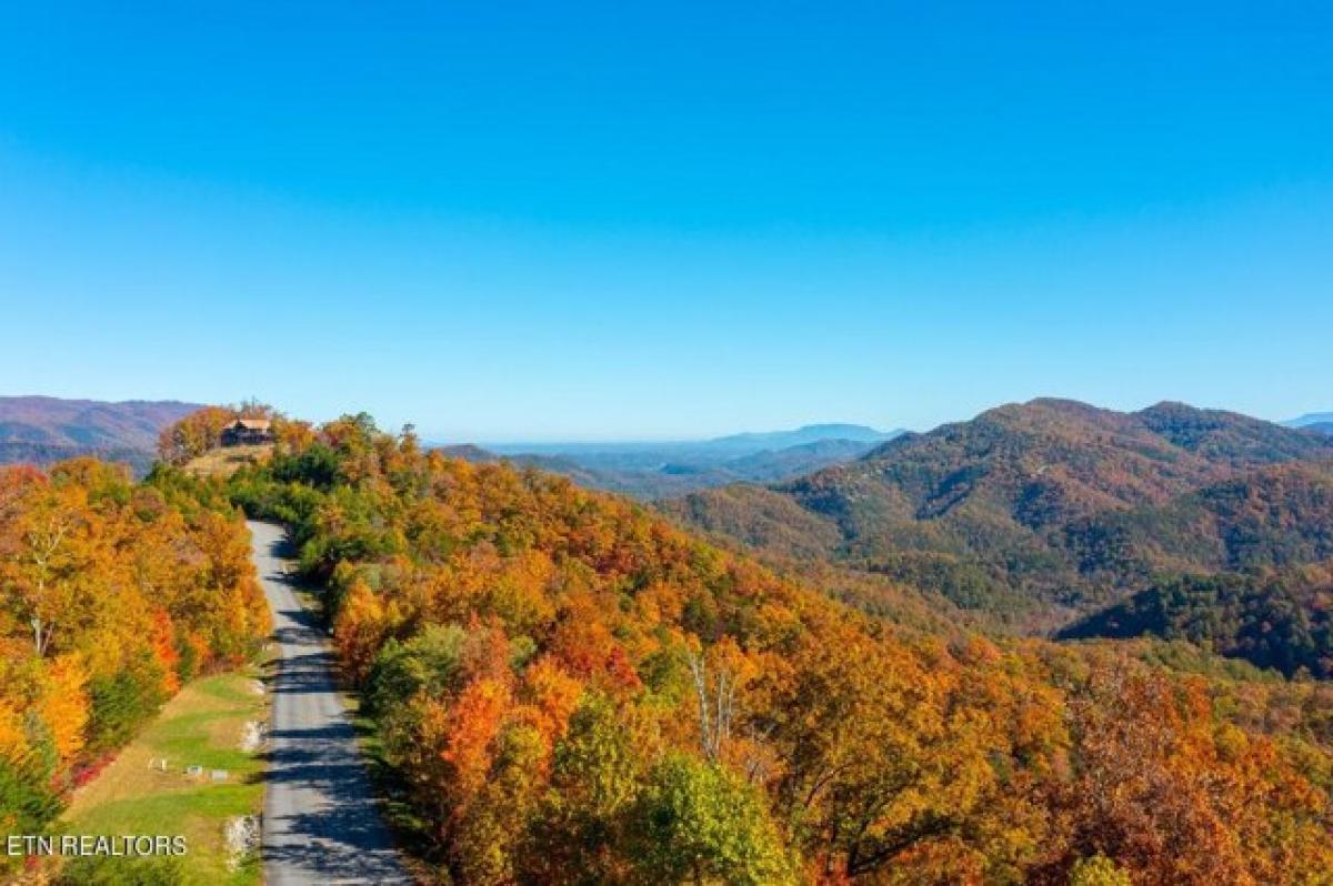 Picture of Residential Land For Sale in Walland, Tennessee, United States