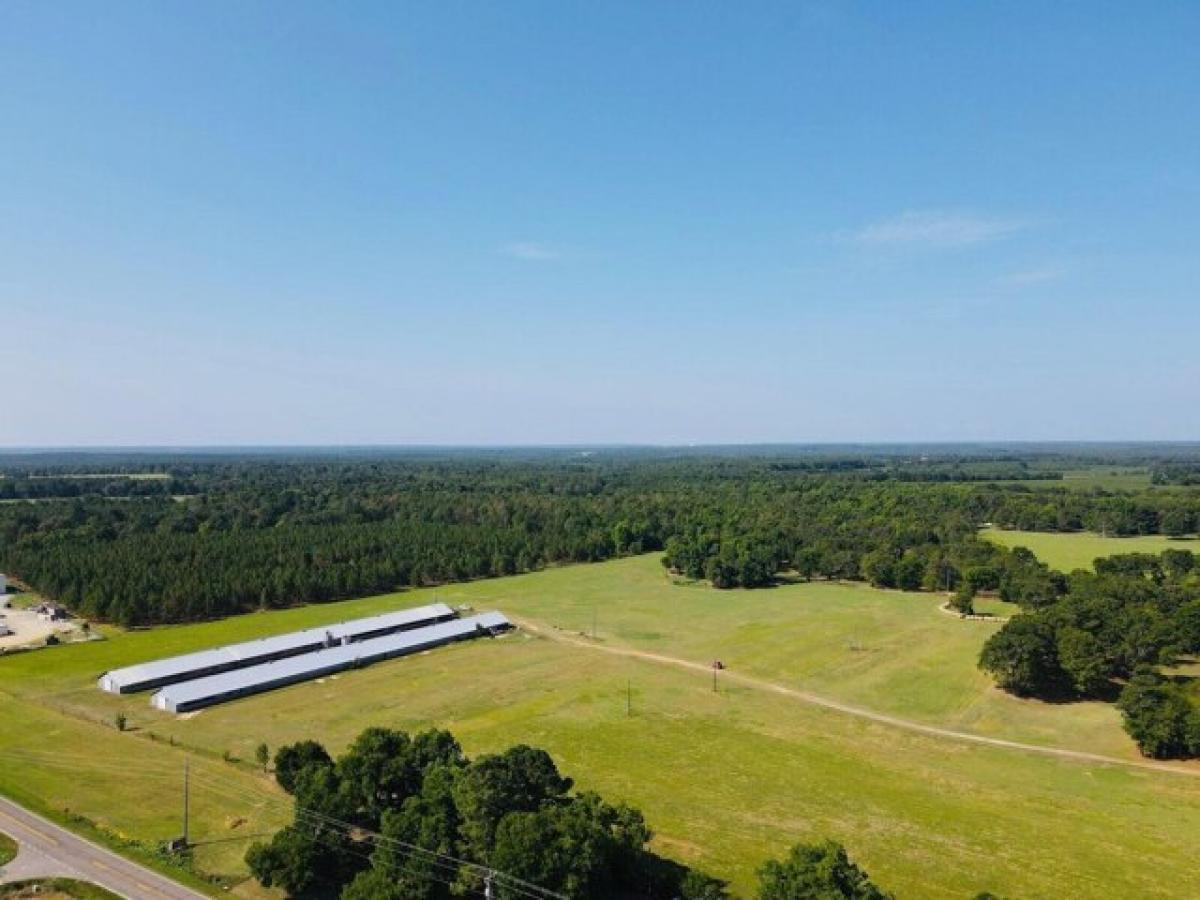 Picture of Residential Land For Sale in Johnston, South Carolina, United States