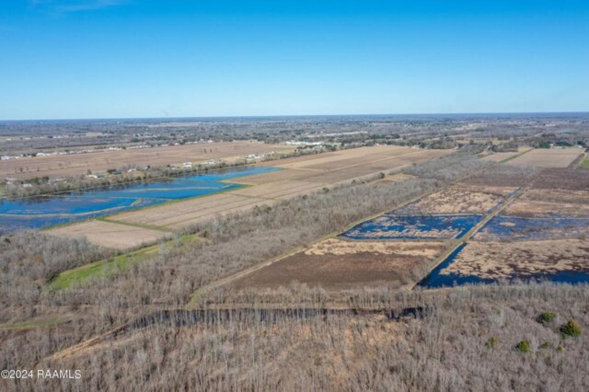 Picture of Residential Land For Sale in Saint Martinville, Louisiana, United States