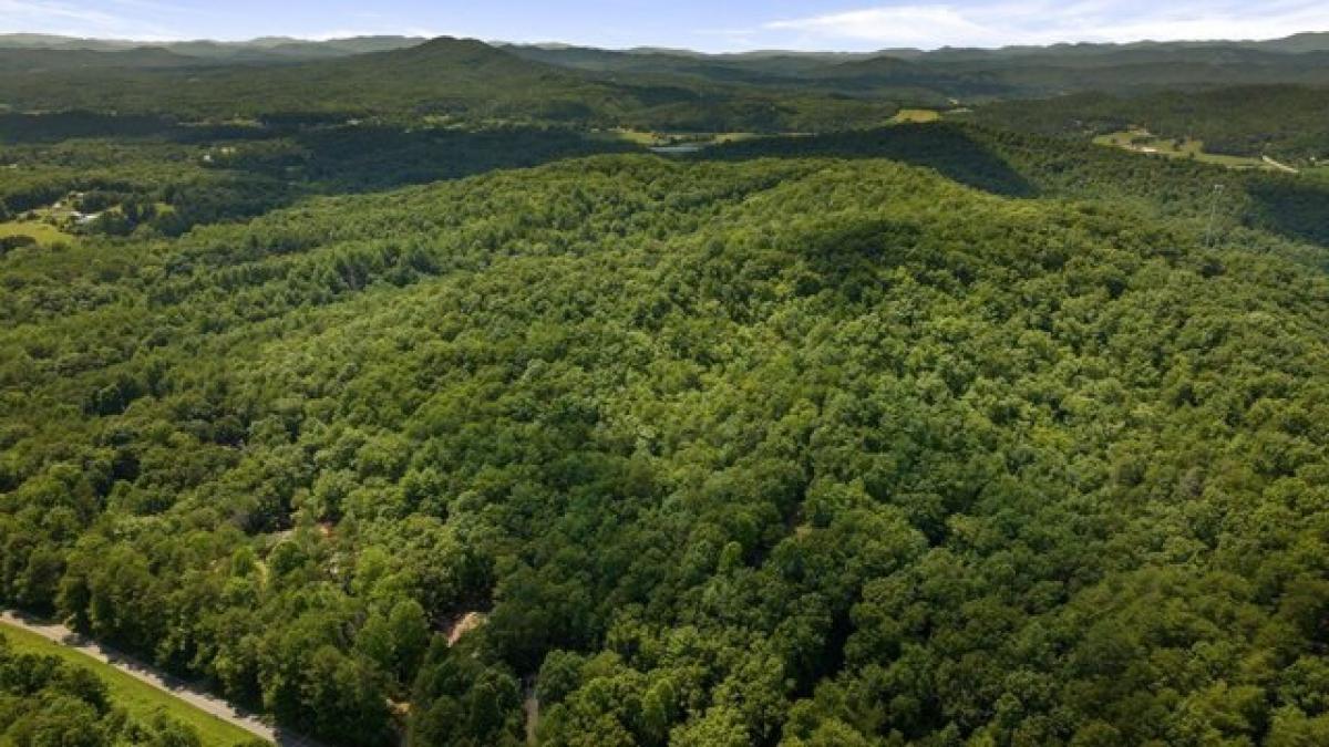 Picture of Residential Land For Sale in Brasstown, North Carolina, United States