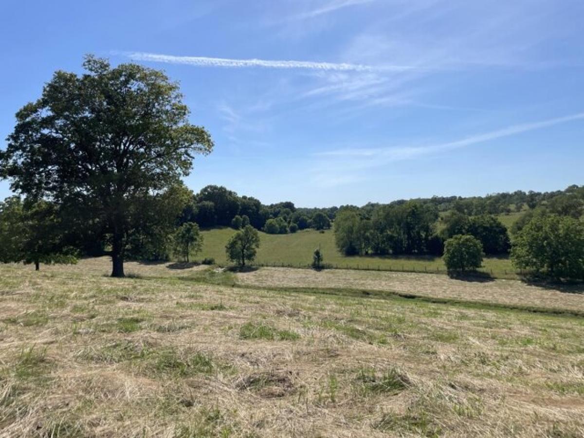 Picture of Residential Land For Sale in Cynthiana, Kentucky, United States