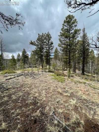 Residential Land For Sale in Florissant, Colorado