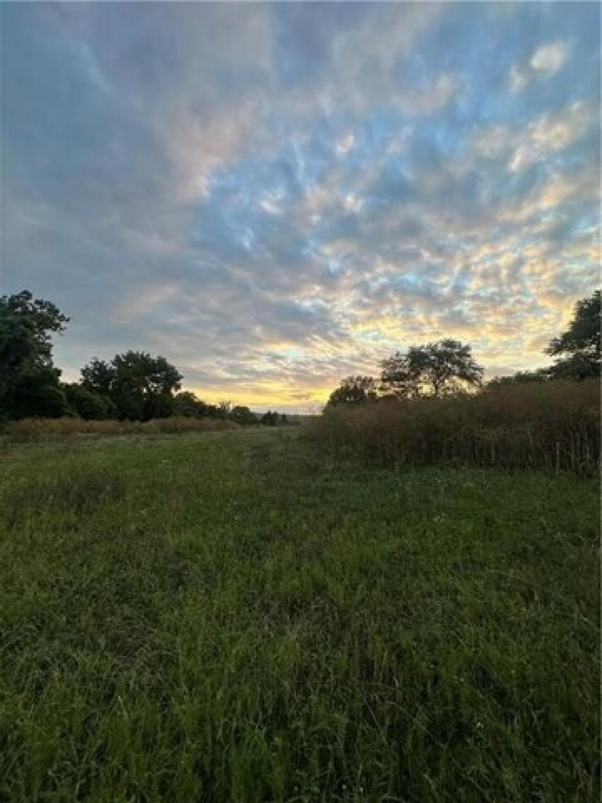 Picture of Residential Land For Sale in Huntsville, Arkansas, United States