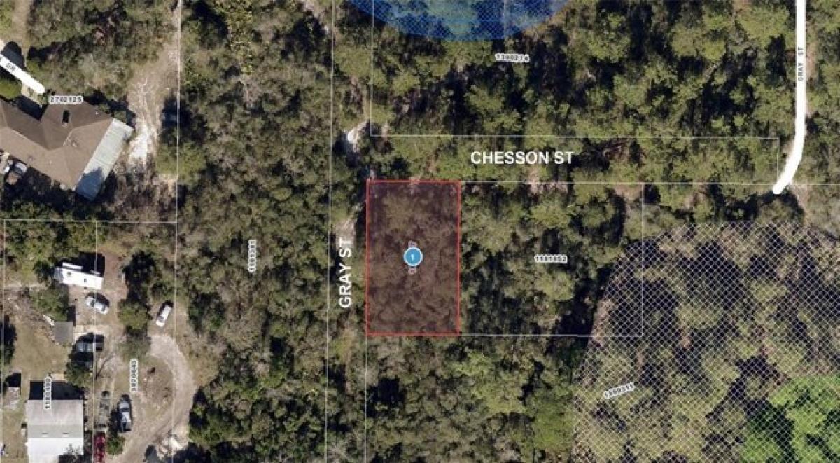 Picture of Residential Land For Sale in Leesburg, Florida, United States