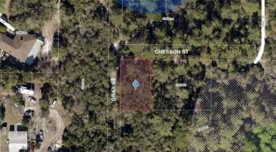 Residential Land For Sale in Leesburg, Florida