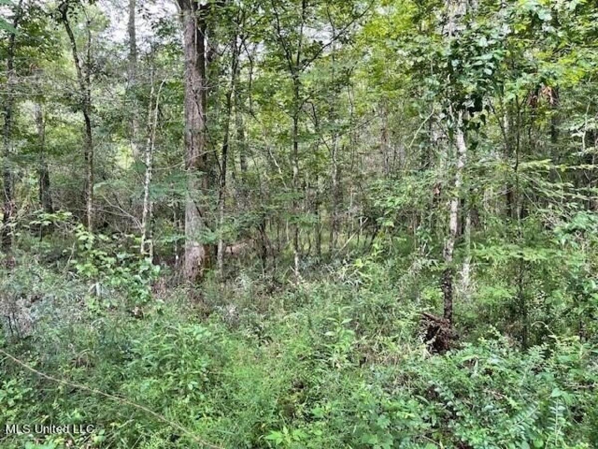 Picture of Residential Land For Sale in Morton, Mississippi, United States