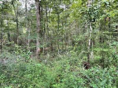 Residential Land For Sale in Morton, Mississippi