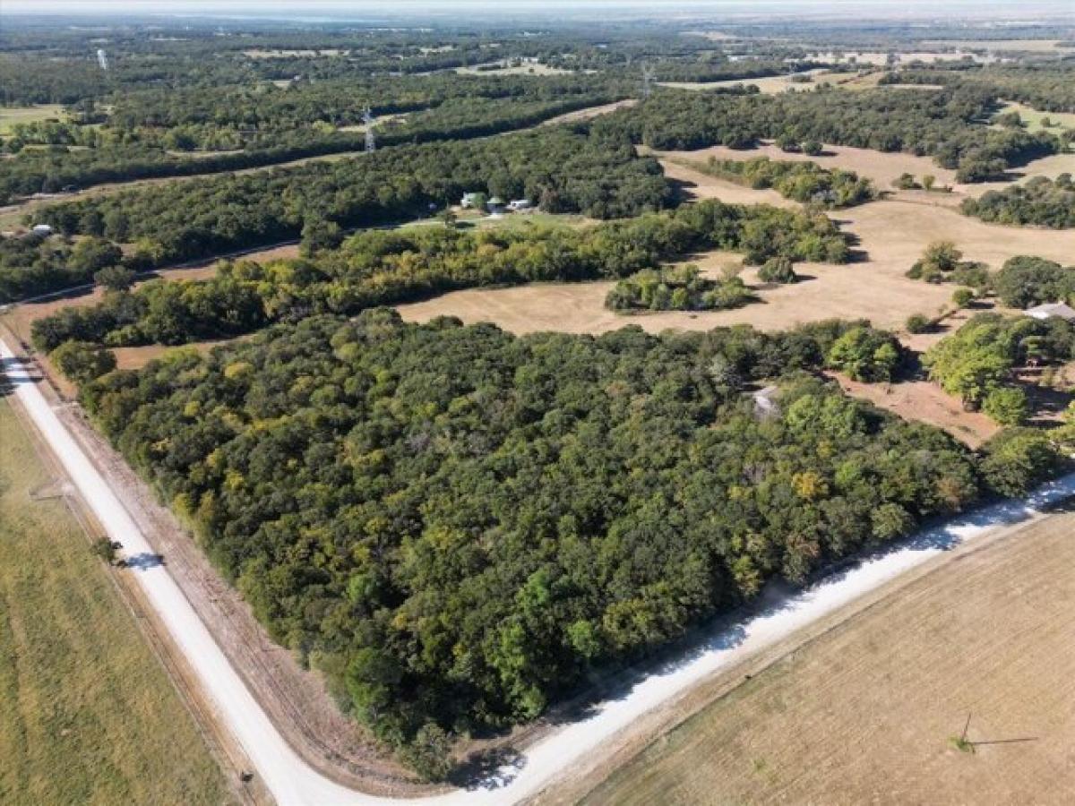 Picture of Residential Land For Sale in Gainesville, Texas, United States