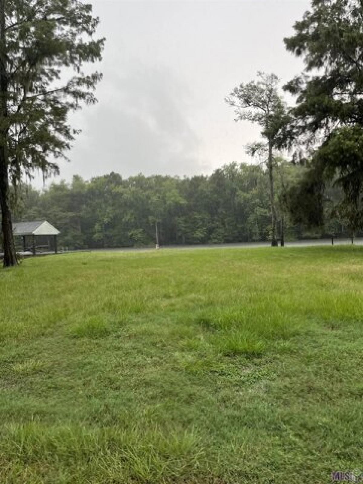 Picture of Residential Land For Sale in Springfield, Louisiana, United States