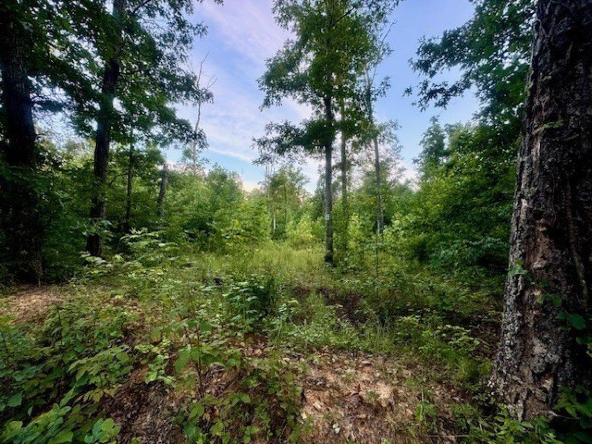 Picture of Residential Land For Sale in Tennessee Ridge, Tennessee, United States