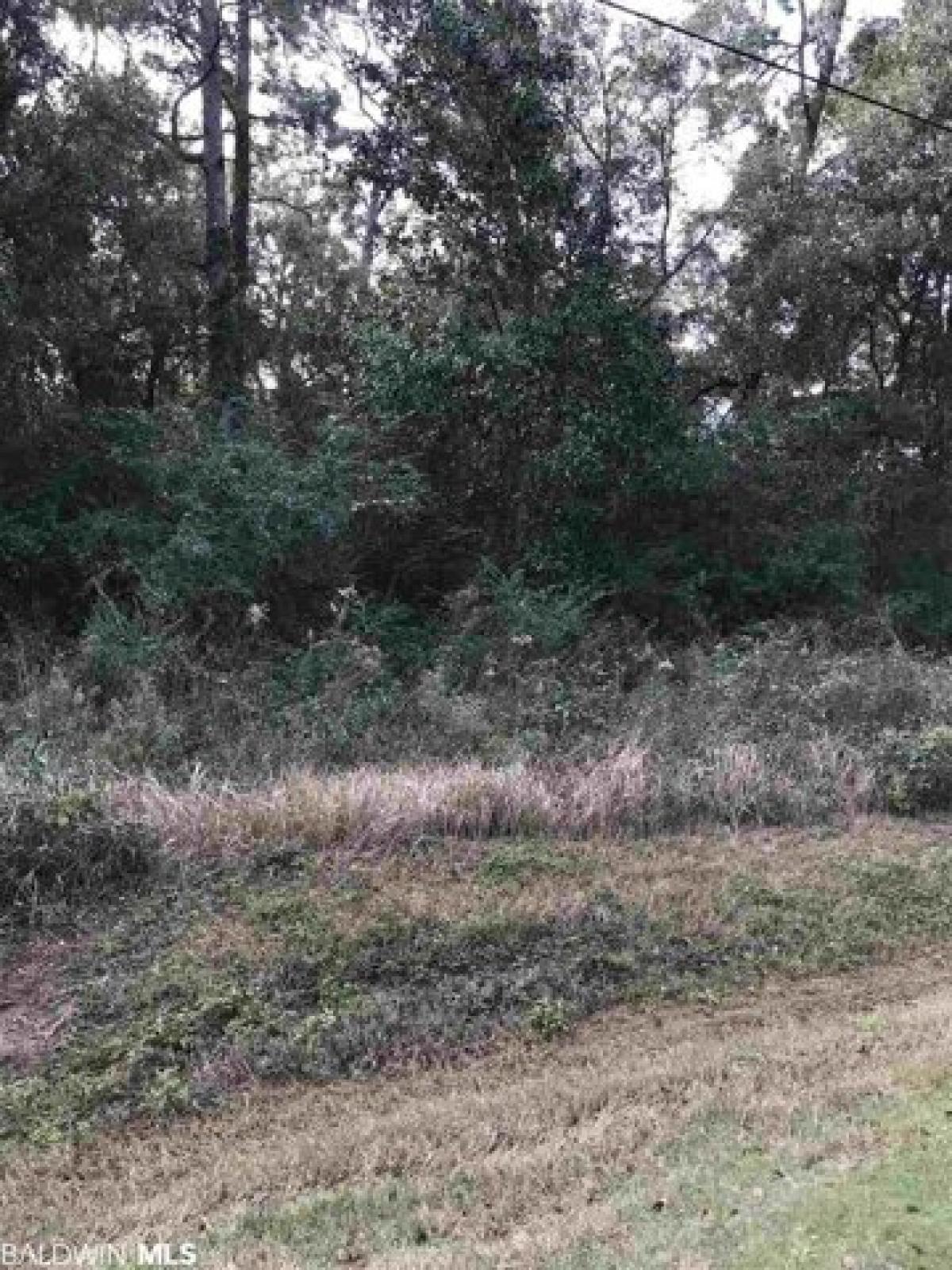 Picture of Residential Land For Sale in Foley, Alabama, United States